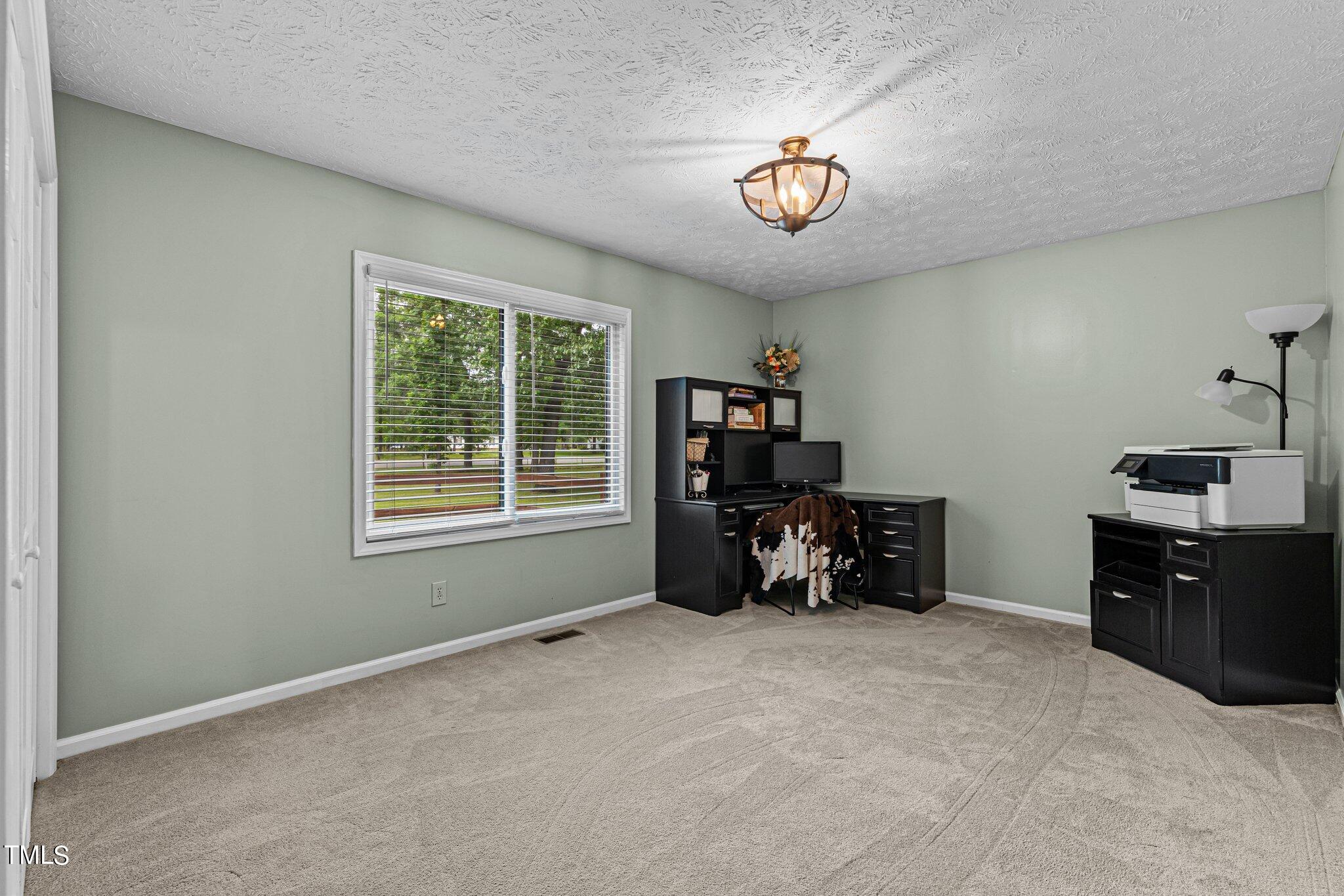 7690 Arabia Road Lumber Bridge, NC 28357 - Photo 22 of 45 14-web-or-mls-707A8569