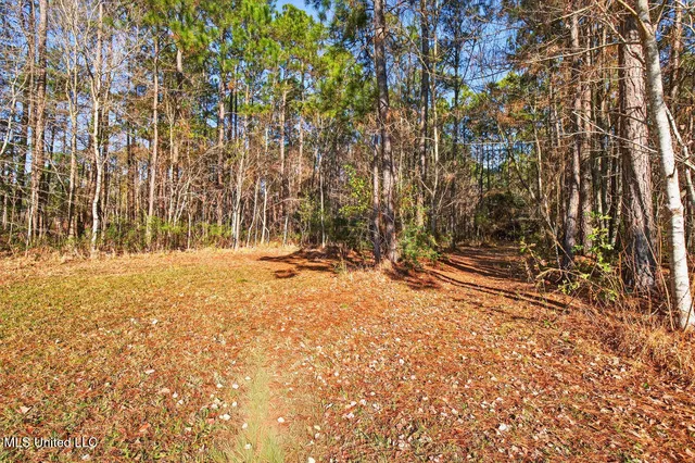 $290,000 | 7081 Thompson Road, Long Beach, MS 39560