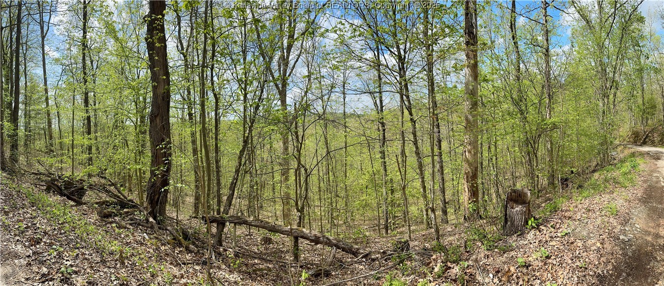 0 Sulug Road Leon, WV 25123 - Photo 4 of 18 Gallery Image 4