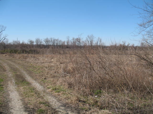 1 Troy Ridge Road Tell City, IN 47586 - Photo 2 of 4