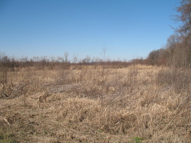 1 Troy Ridge Road Tell City, IN 47586 - Photo 3 of 4