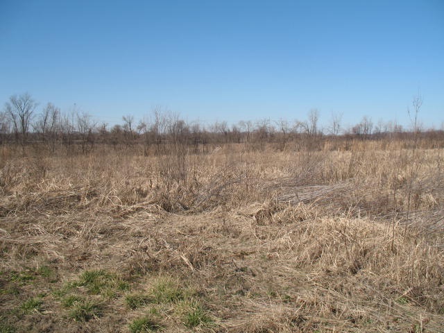 1 Troy Ridge Road Tell City, IN 47586 - Photo 4 of 4
