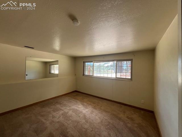 7280 Mathews Road Colorado Springs, CO 80908 - Photo 23 of 31 Carpeted spare room with a textured ceiling