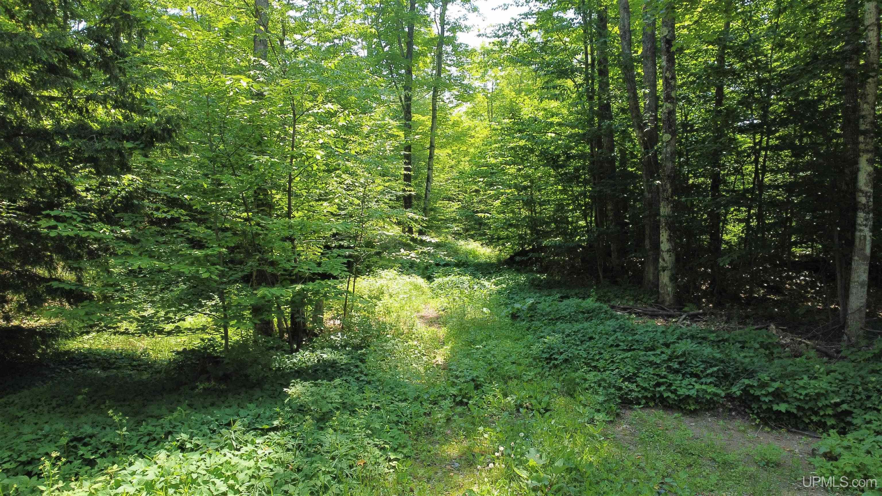 On Gage Road Munising, MI 49862 - Photo 6 of 17