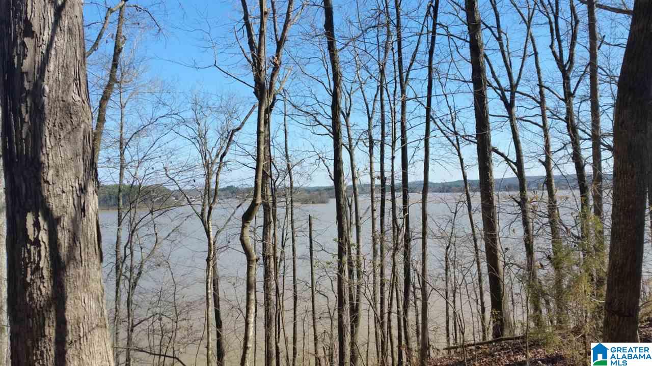 980 Sunset Strip Road, Unit 7 Pell City, AL 35128 - Photo 3 of 6