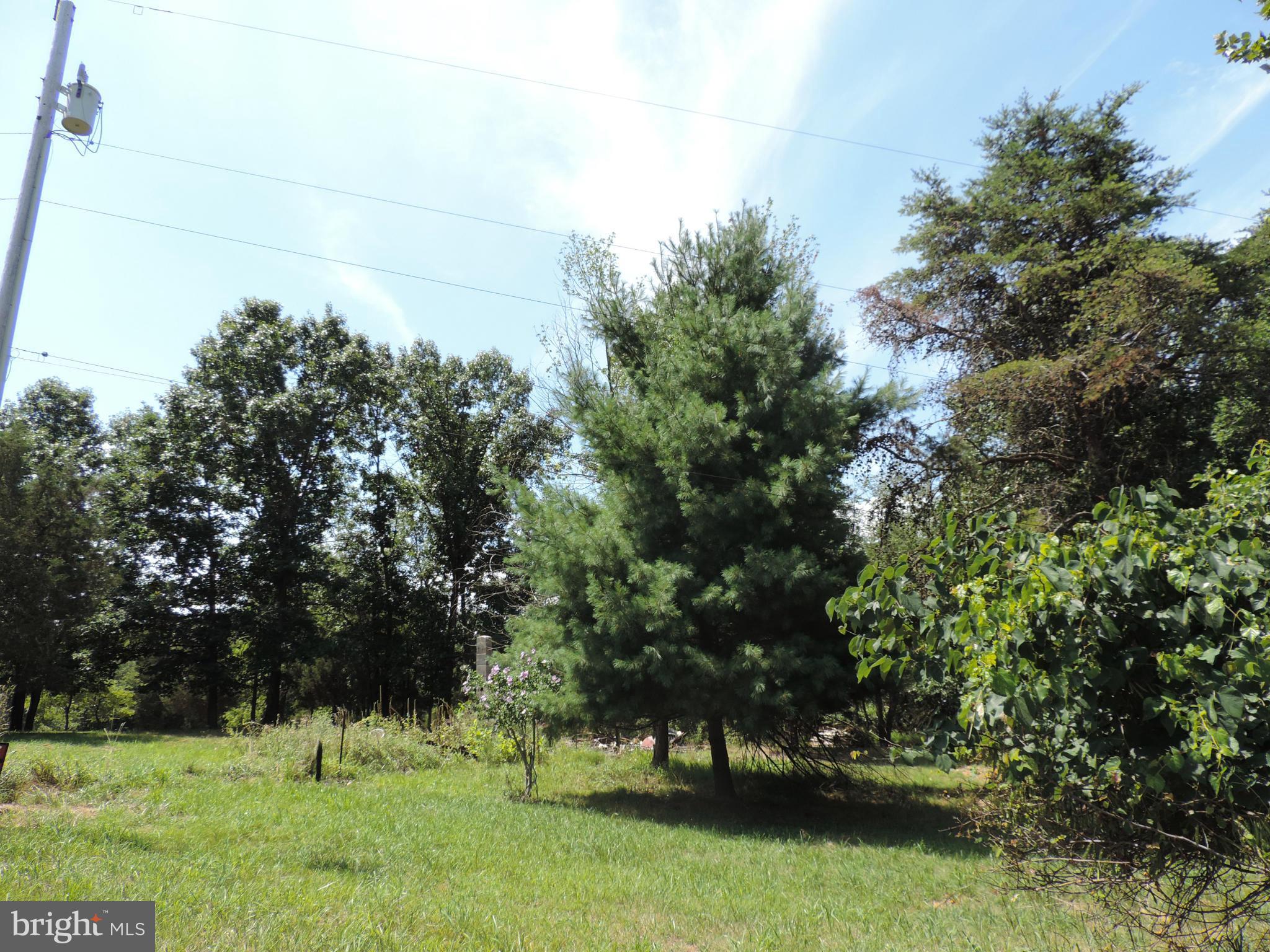 1807 Back Road Sharpsburg, MD 21782 - Photo 4 of 14 Exterior (General)