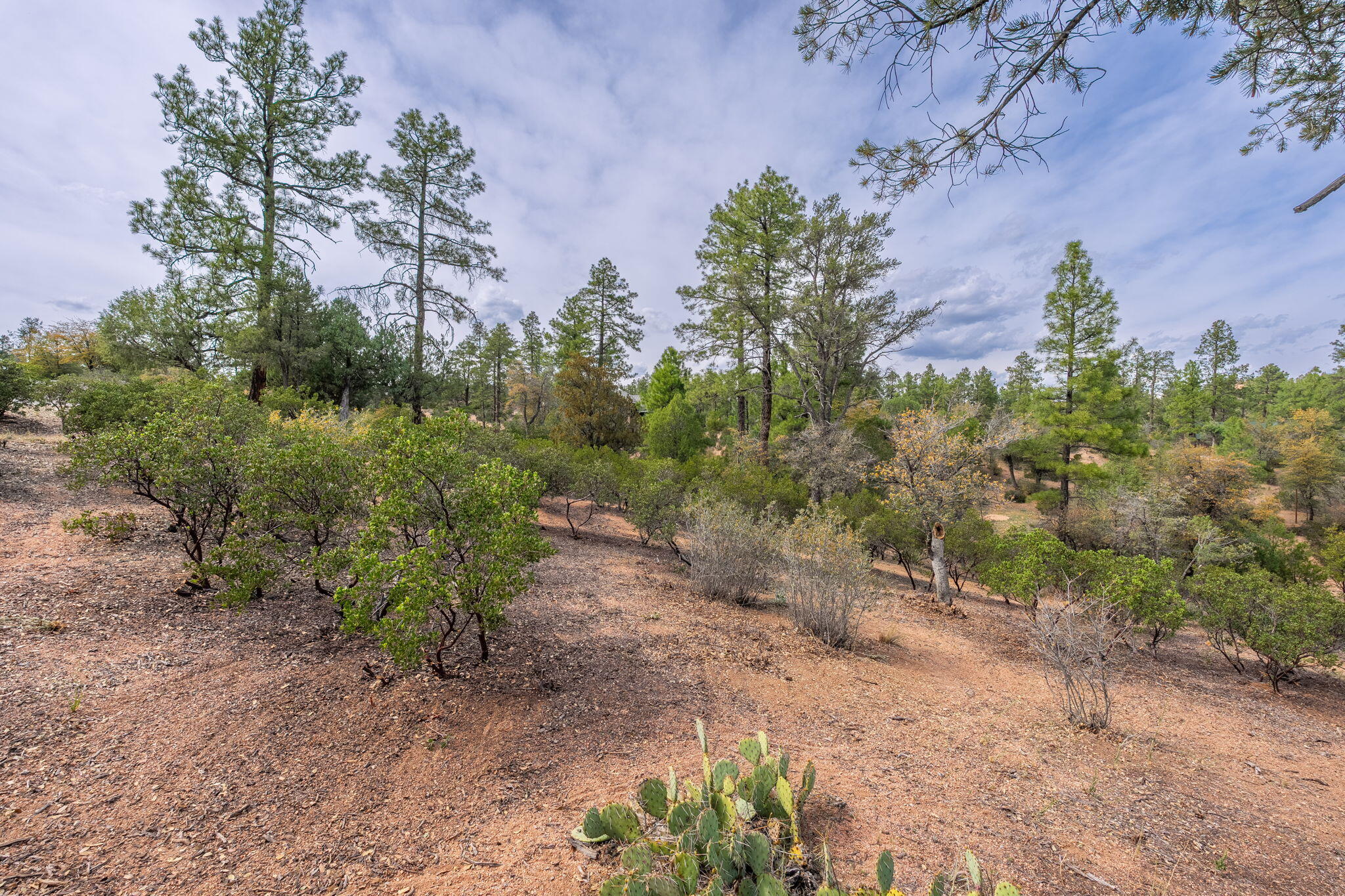 3008 East Arrow Point Payson, AZ 85541 - Photo 9 of 22