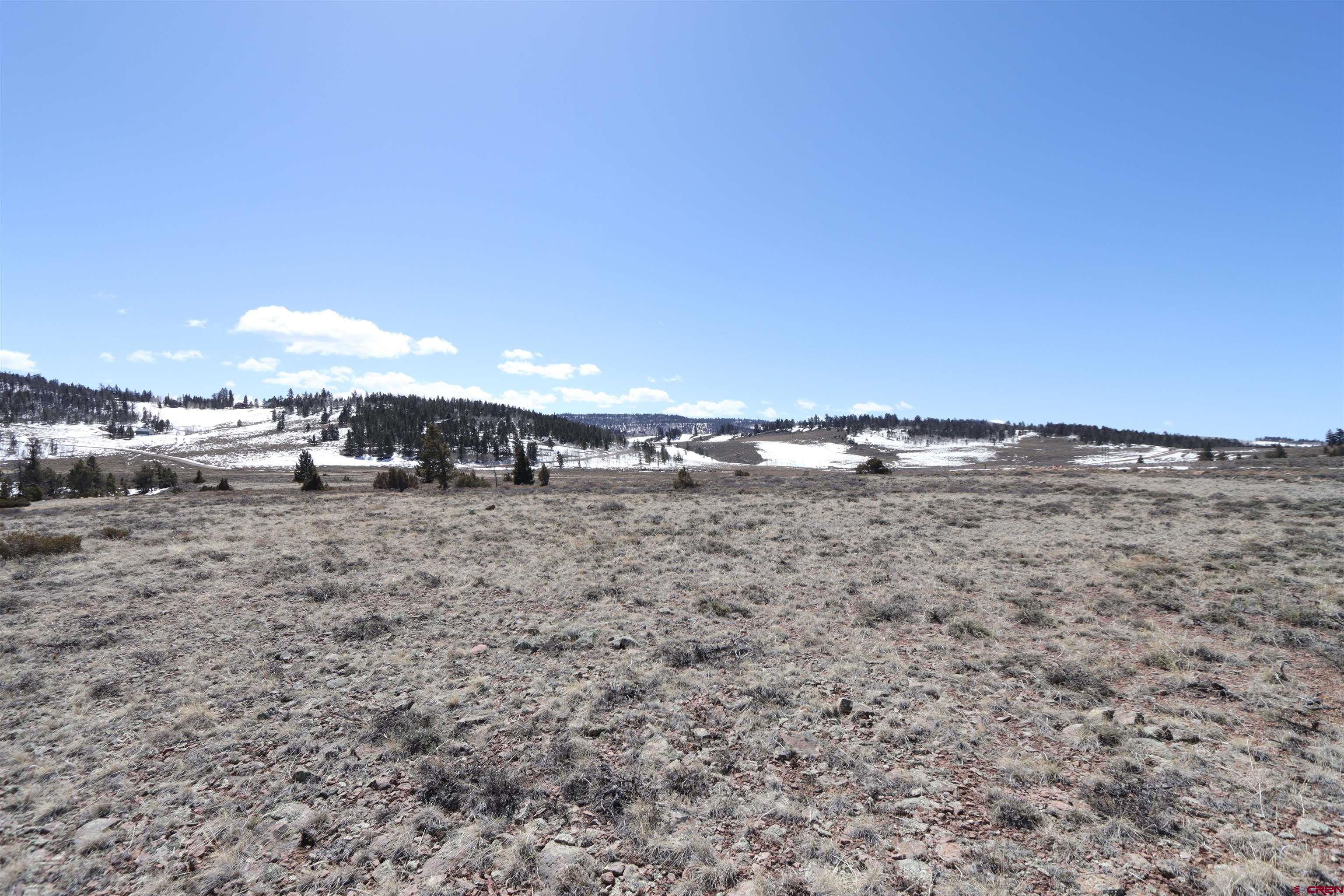 98 Blue Mesa Drive Powderhorn, CO 81243 - Photo 11 of 18