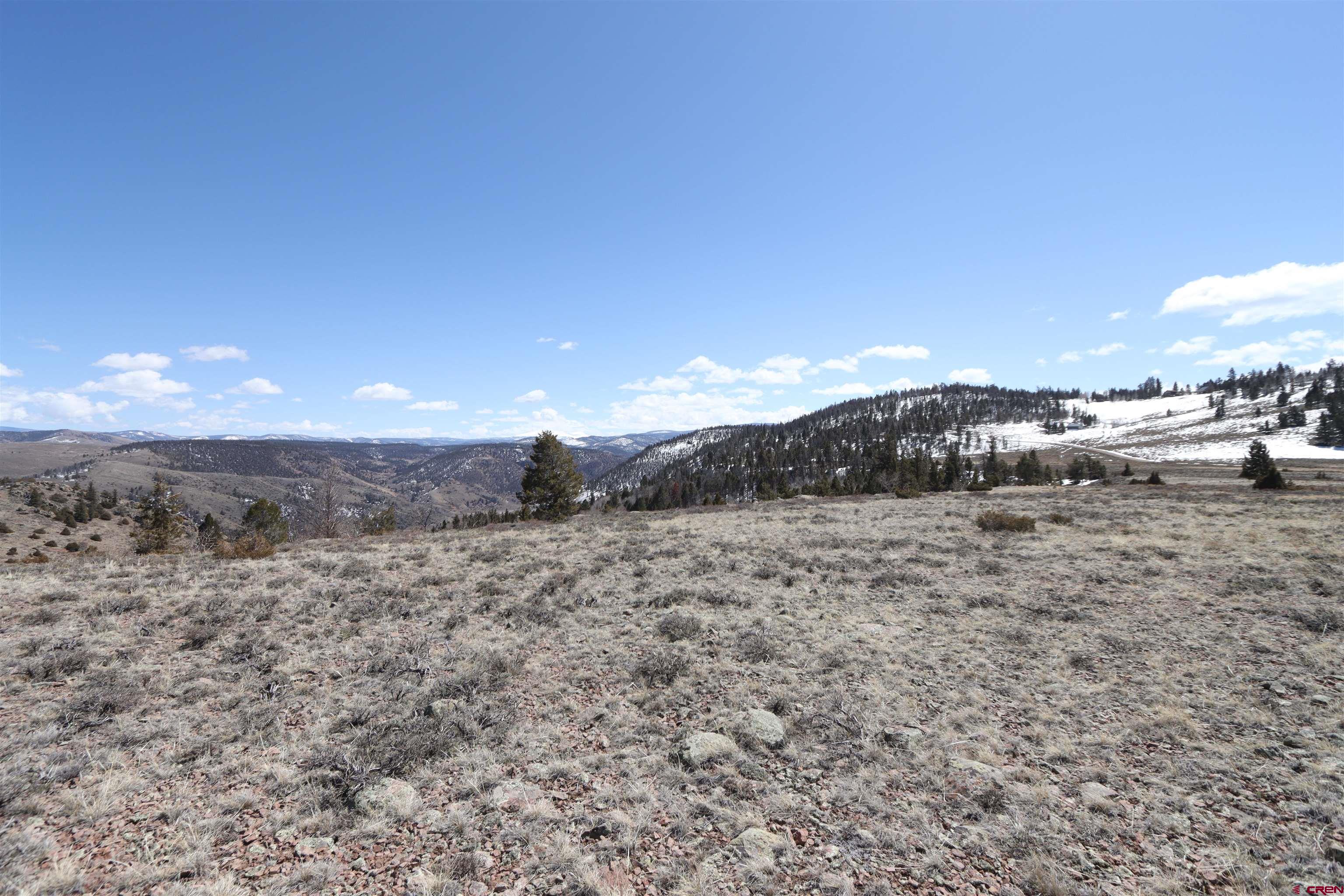 98 Blue Mesa Drive Powderhorn, CO 81243 - Photo 12 of 18 a view of a dry yard with wooden fence