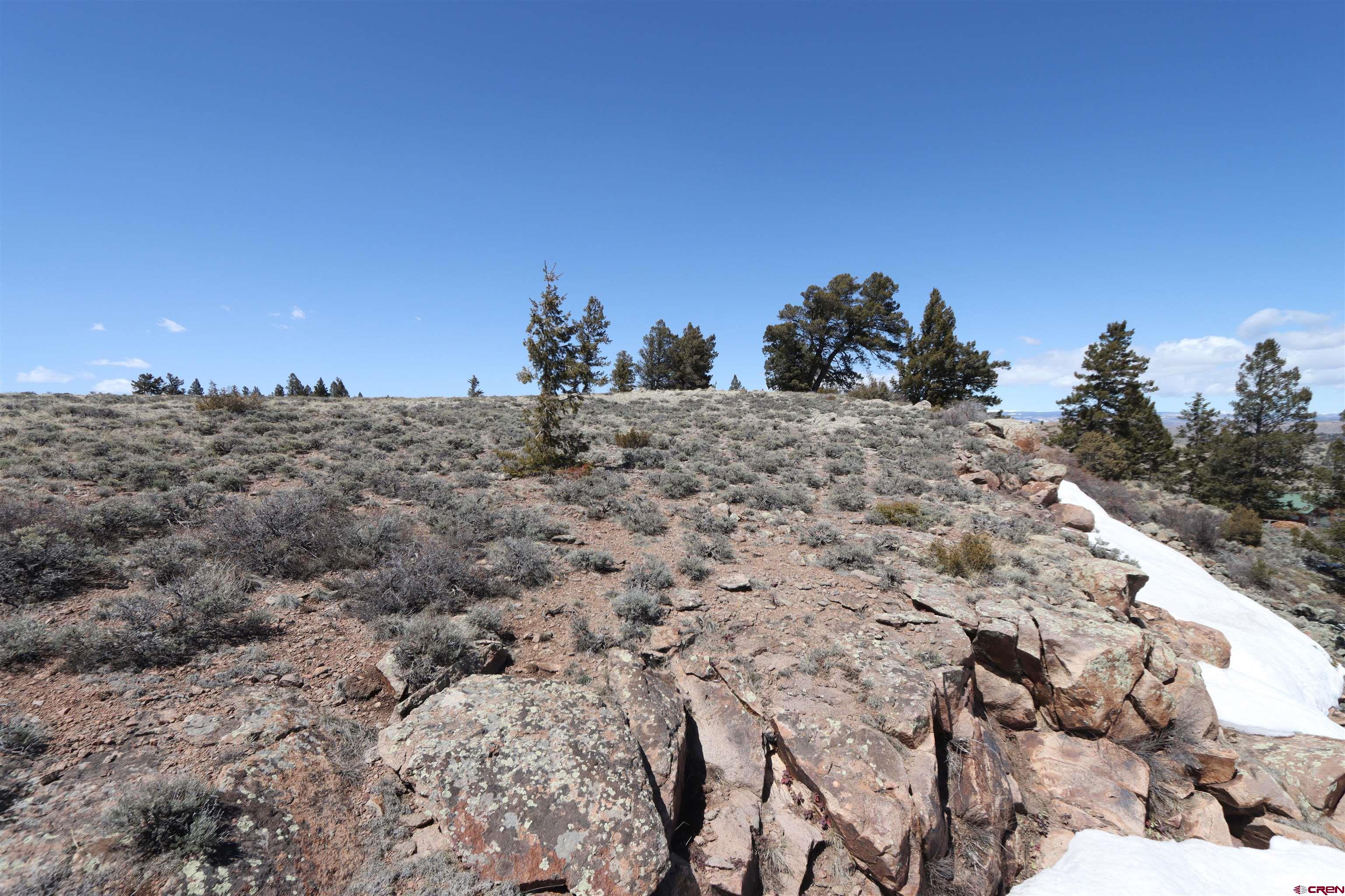 98 Blue Mesa Drive Powderhorn, CO 81243 - Photo 14 of 18 a view of a dry field