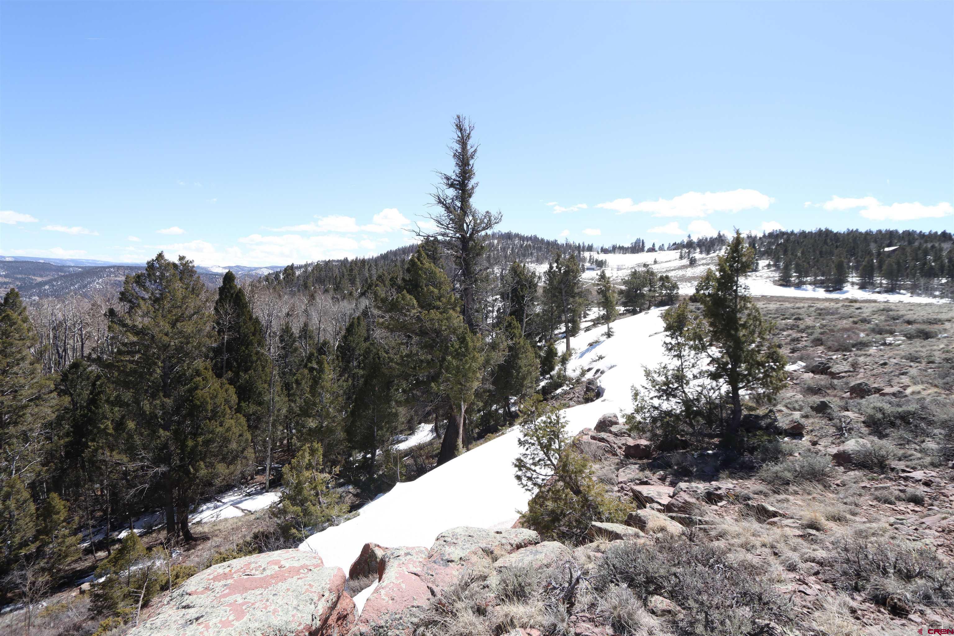 98 Blue Mesa Drive Powderhorn, CO 81243 - Photo 17 of 18 a view of a dry yard