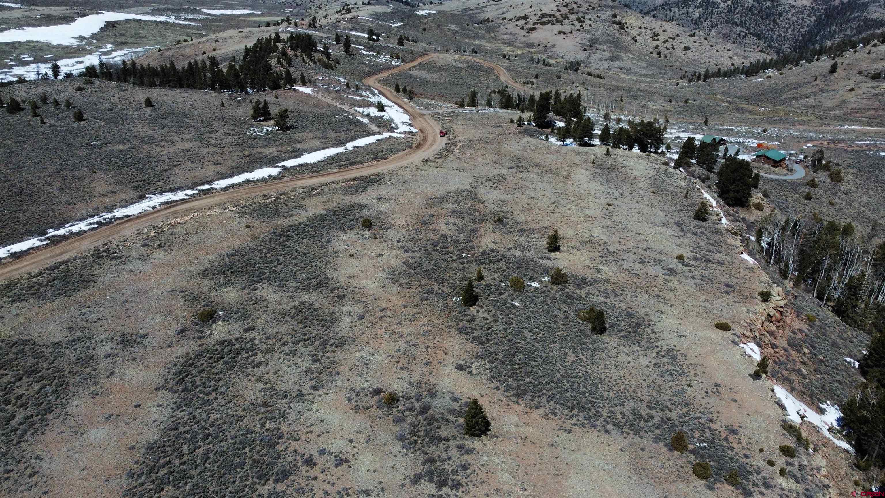 98 Blue Mesa Drive Powderhorn, CO 81243 - Photo 6 of 18 a view of a dry yard with lots of trees
