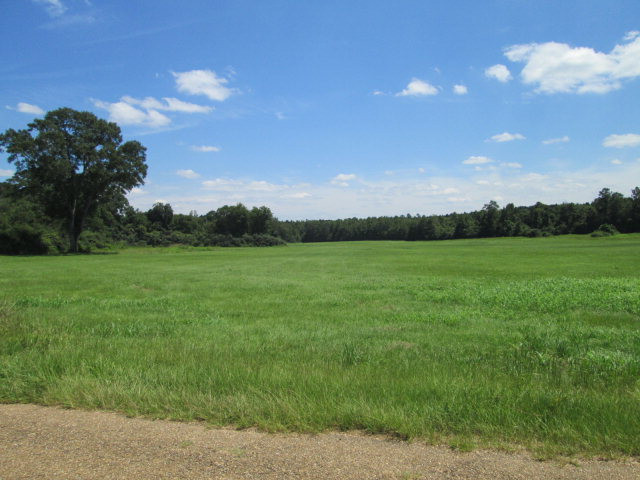 0 Mudline Road McComb, MS 39648 - Photo 1 of 1 Main View