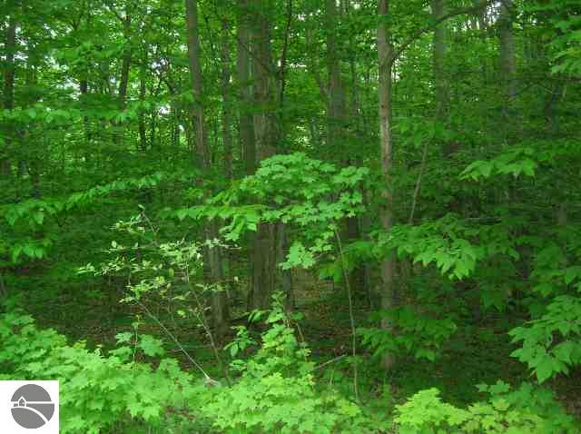 Zimmerman Road Honor, MI 49640 - Photo 2 of 5 1679013-1.JPG