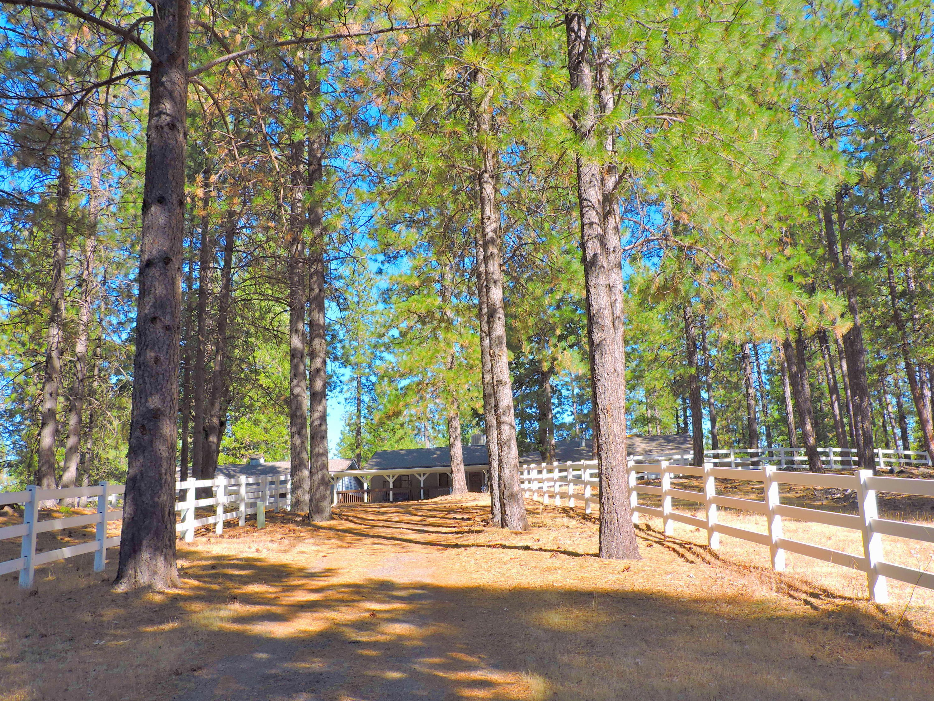 28836 Bullskin Ridge Road Oak Run, CA 96069 - Photo 14 of 58 Bullskin Ridge109