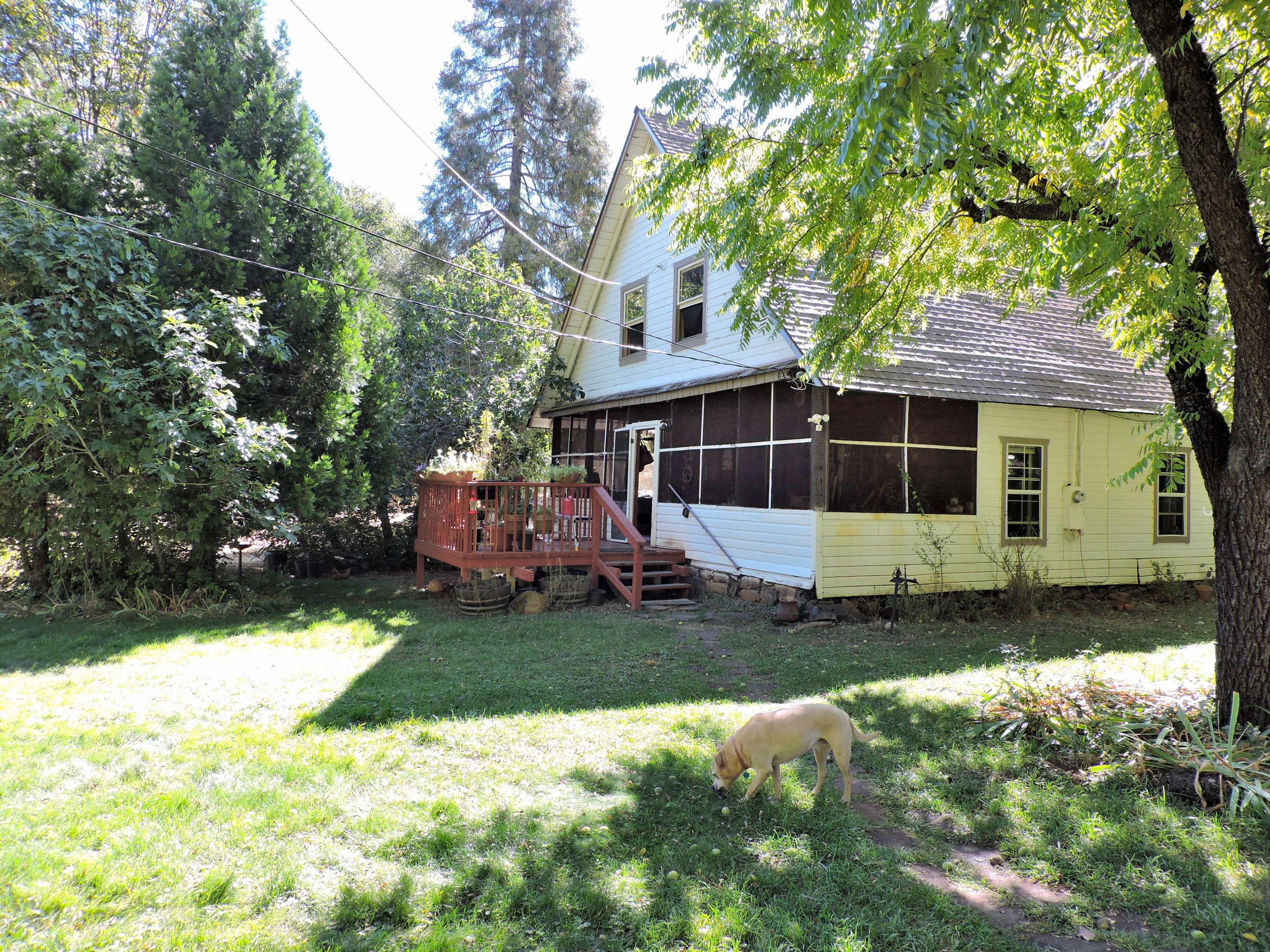 28836 Bullskin Ridge Road Oak Run, CA 96069 - Photo 3 of 58 Bullskin Ridge147