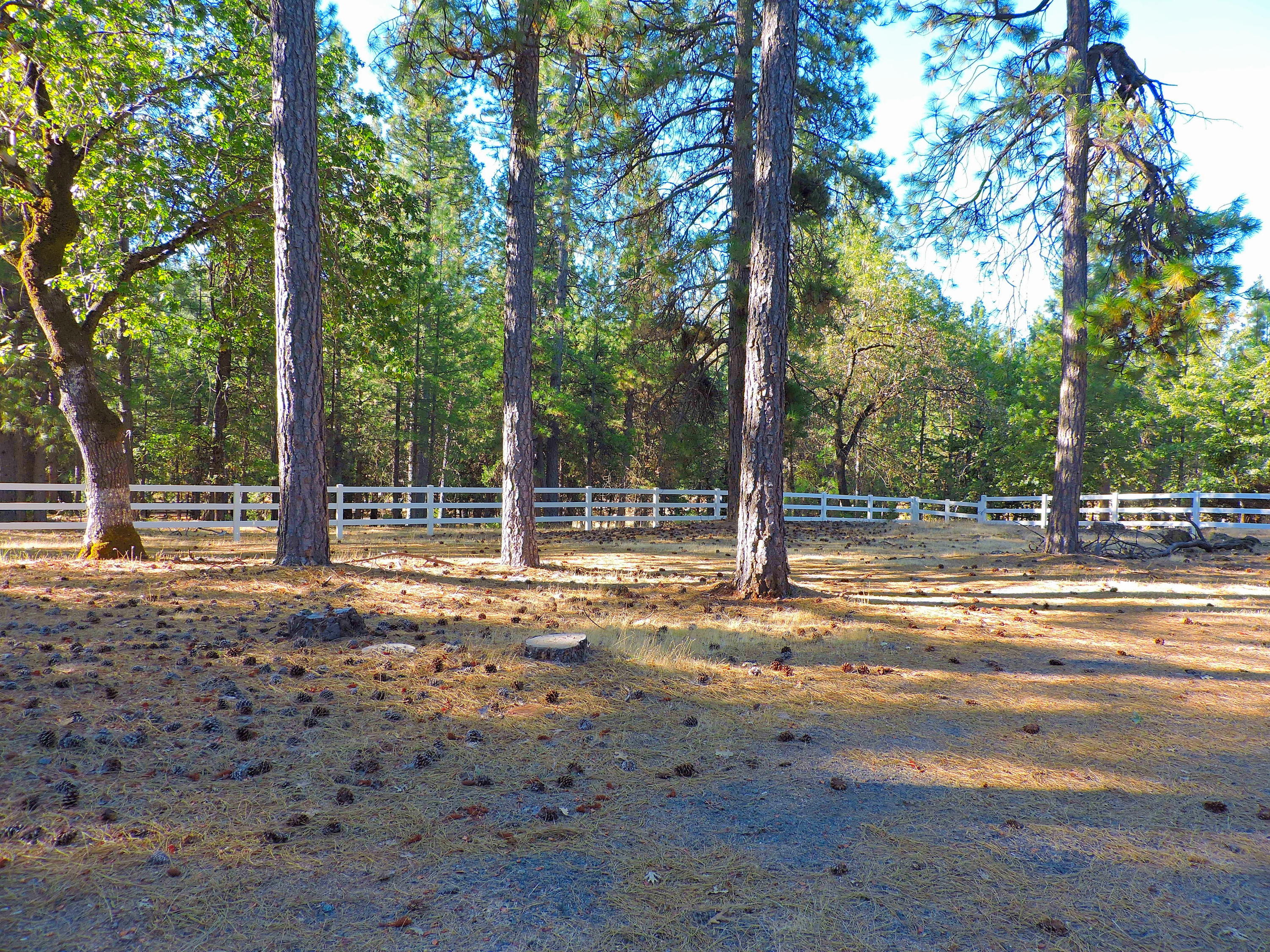 28836 Bullskin Ridge Road Oak Run, CA 96069 - Photo 35 of 58 Bullskin Ridge009