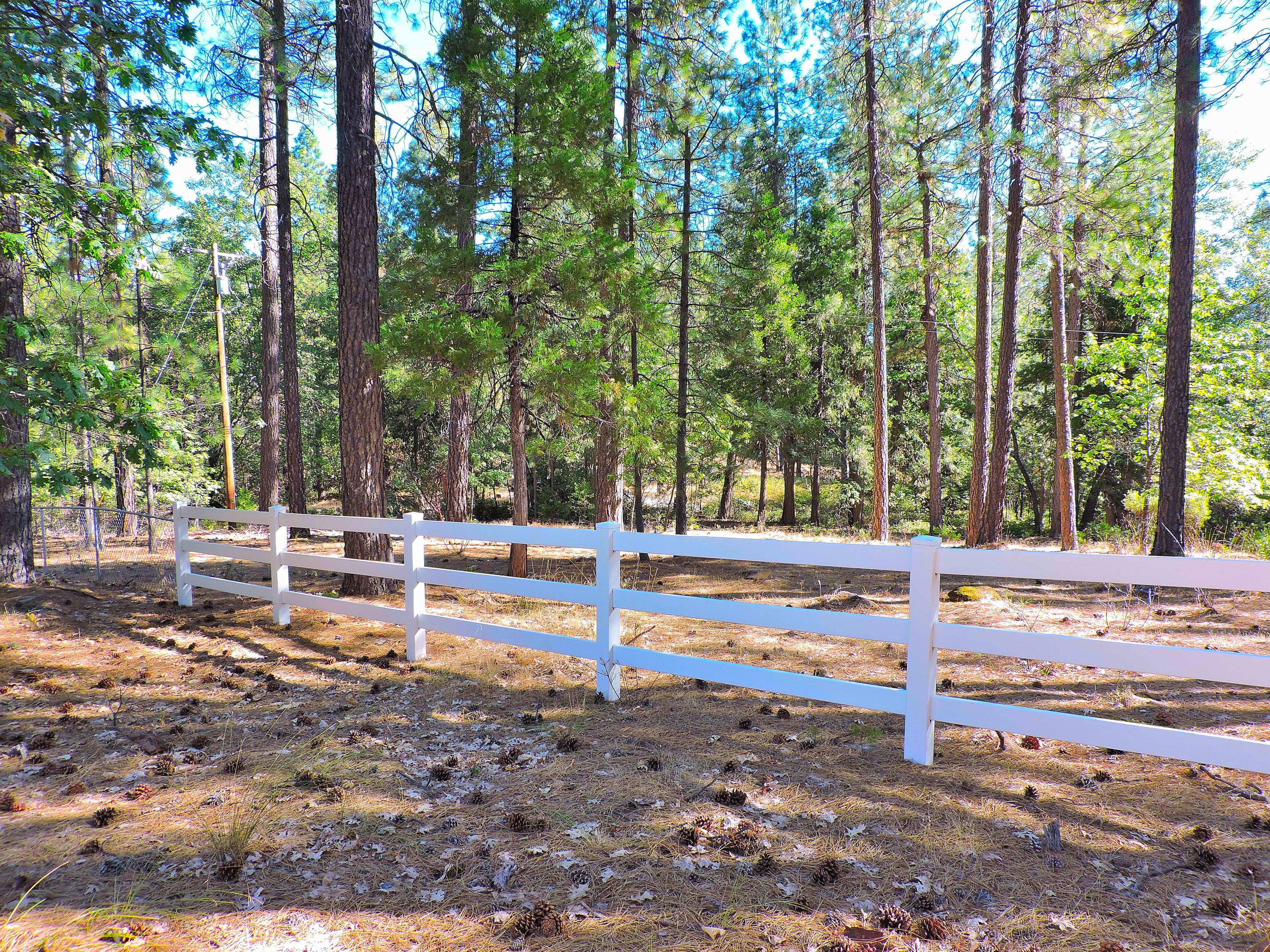 28836 Bullskin Ridge Road Oak Run, CA 96069 - Photo 36 of 58 Bullskin Ridge069