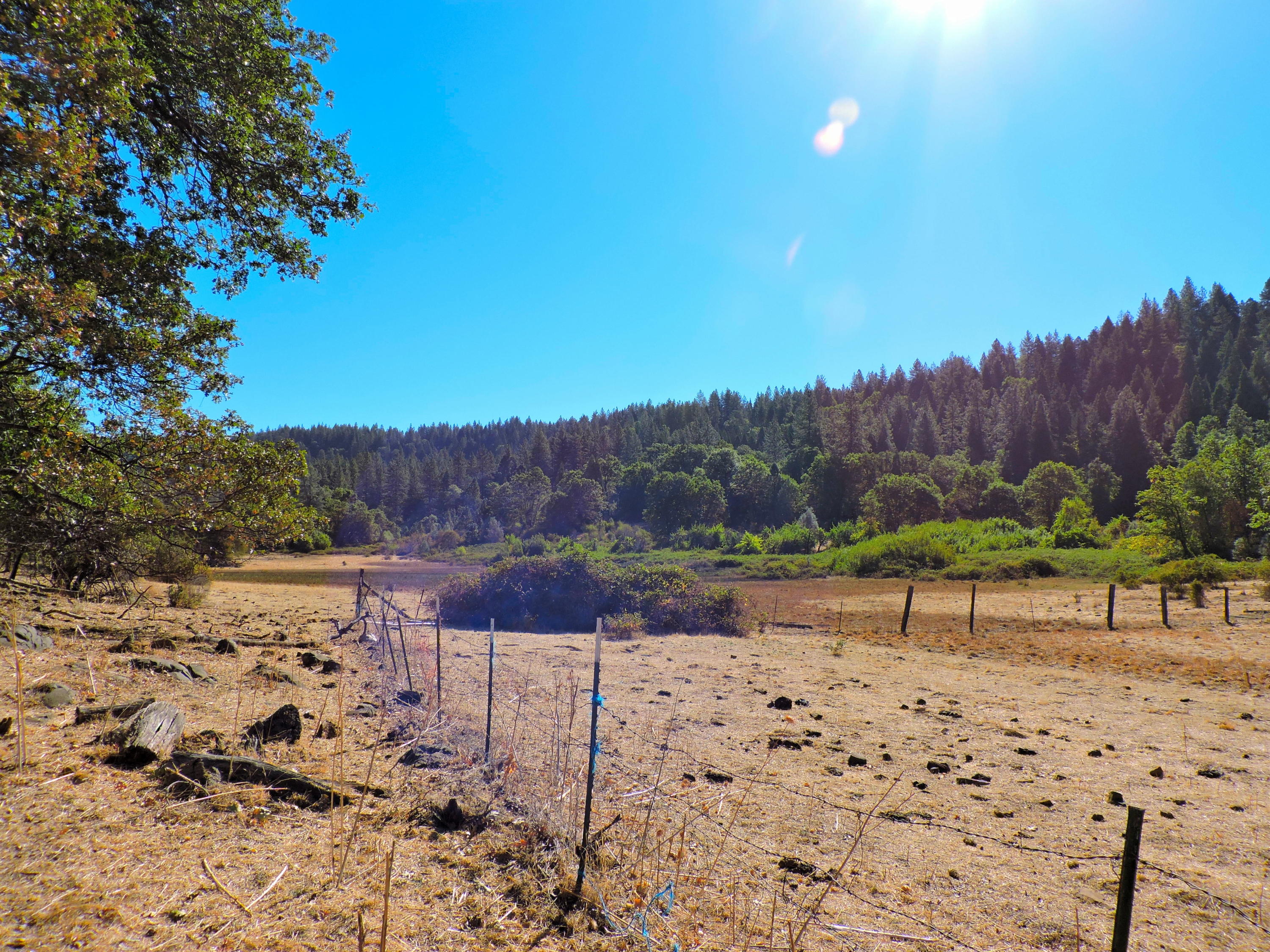 28836 Bullskin Ridge Road Oak Run, CA 96069 - Photo 44 of 58 Bullskin Ridge130