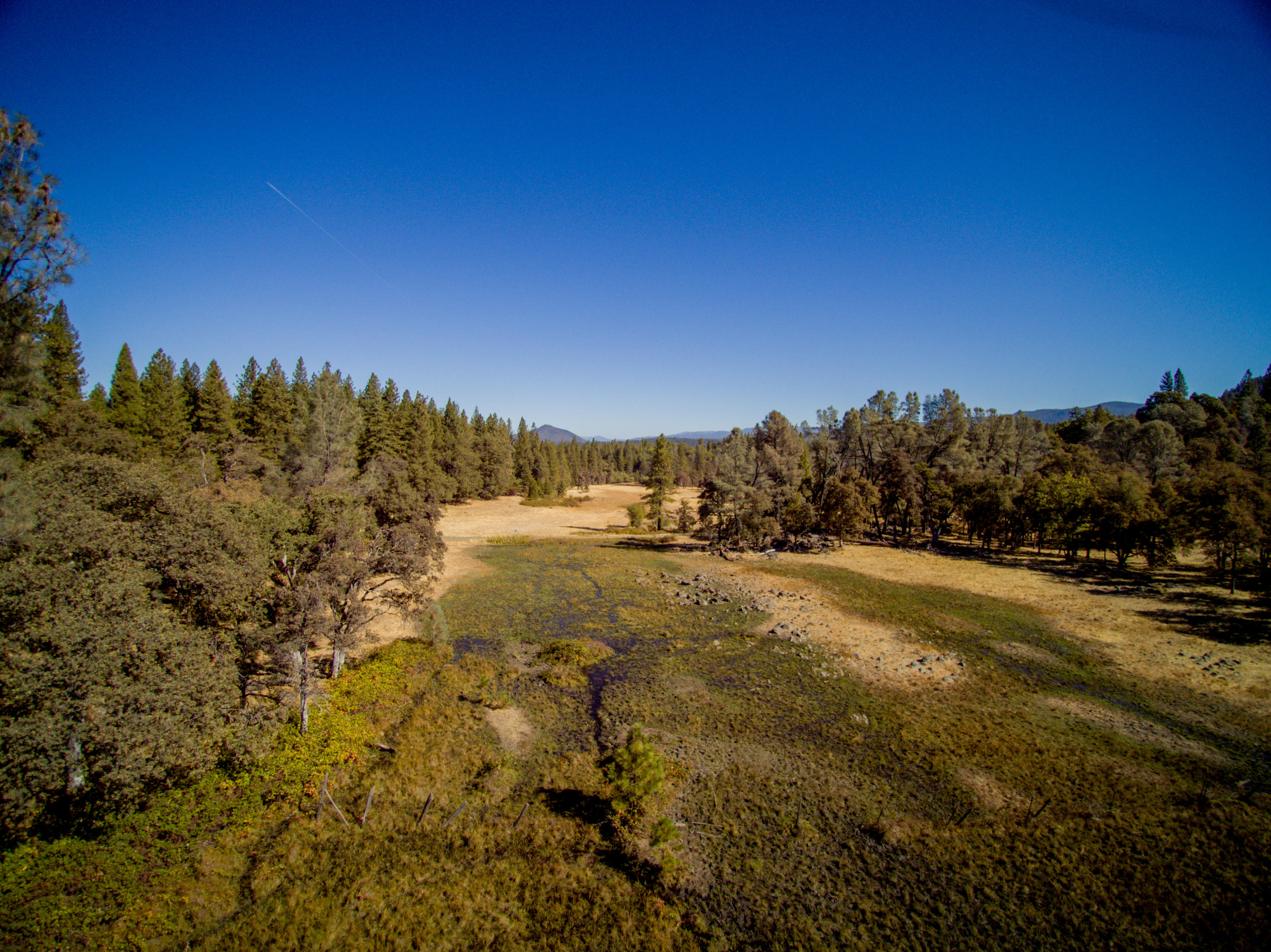 28836 Bullskin Ridge Road Oak Run, CA 96069 - Photo 5 of 58 YUN00061