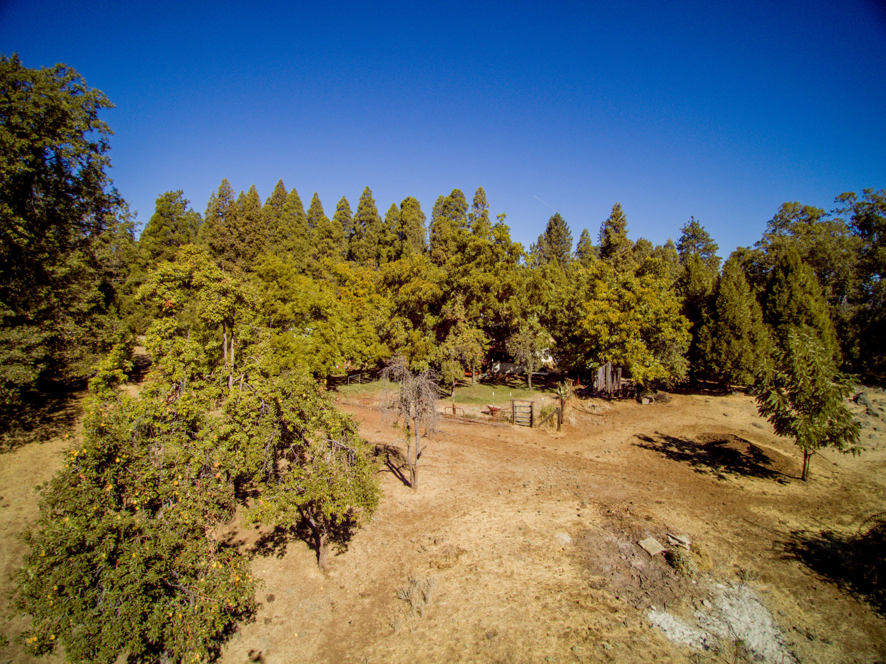 28836 Bullskin Ridge Road Oak Run, CA 96069 - Photo 57 of 58 YUN00052