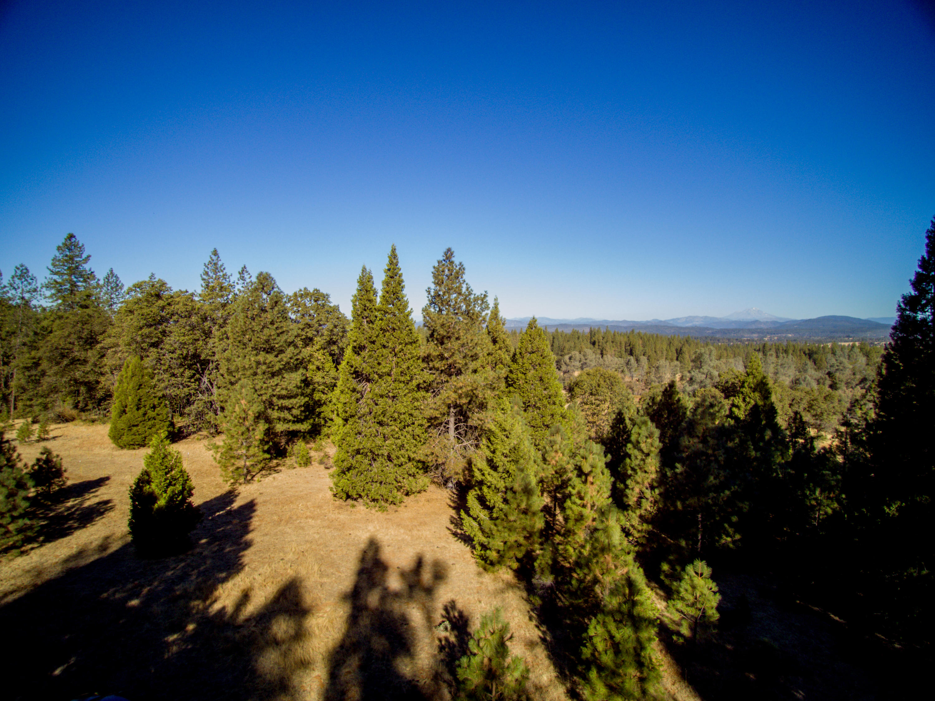 28836 Bullskin Ridge Road Oak Run, CA 96069 - Photo 9 of 58 YUN00002