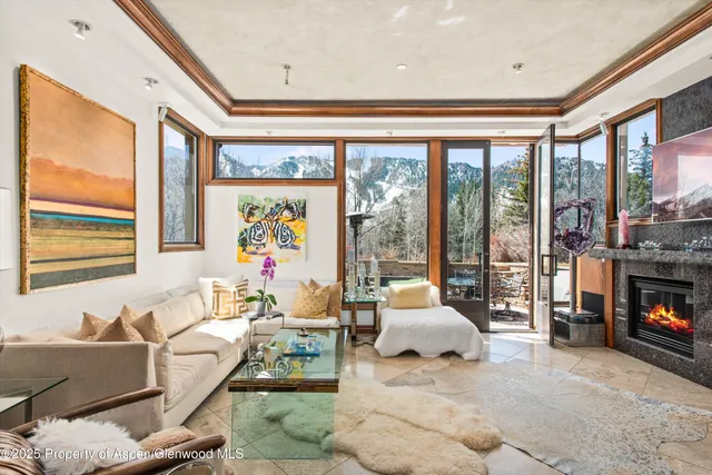 a living room with furniture a fireplace and a floor to ceiling window