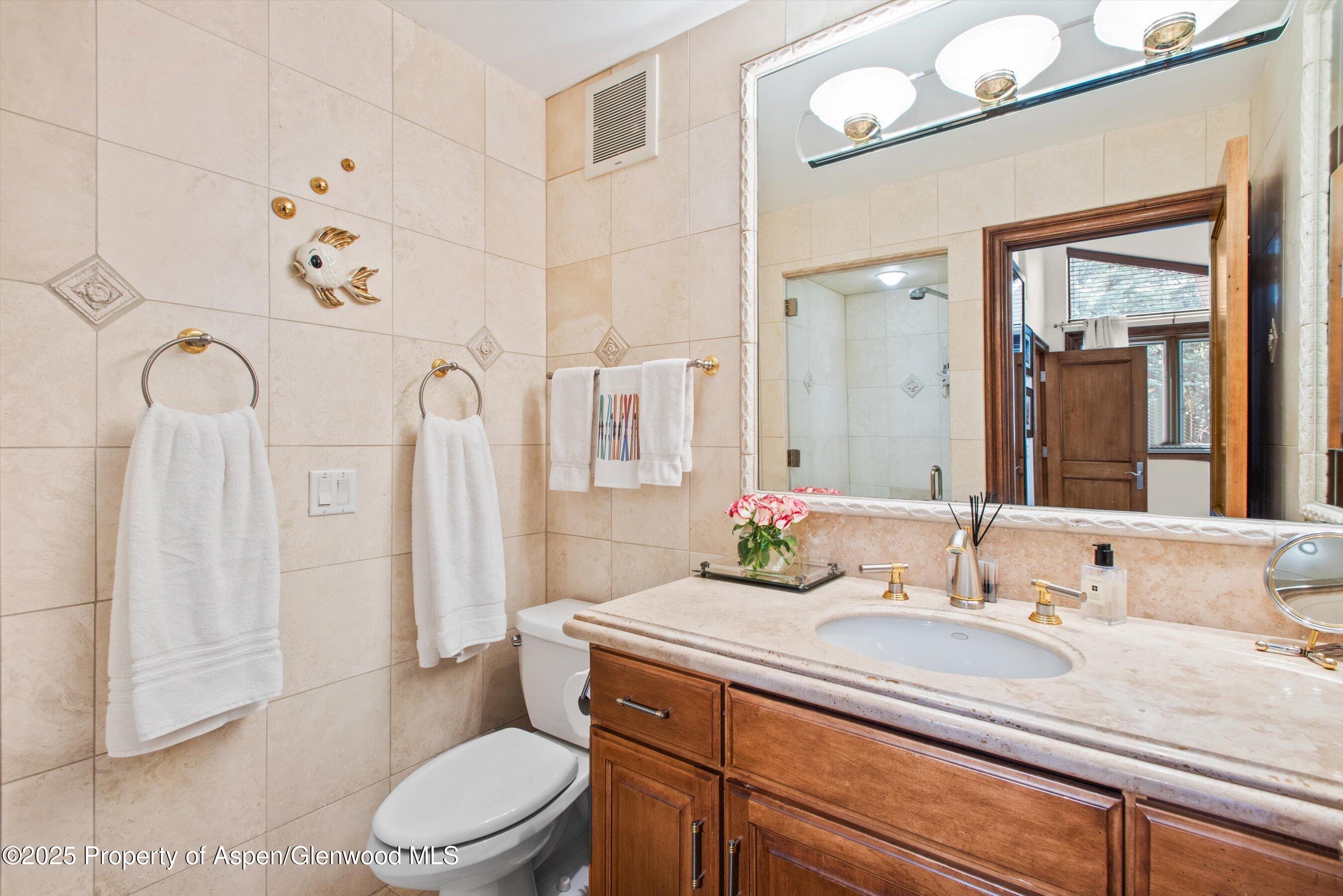 155 Lone Pine Road, Unit 9 Aspen, CO 81611 - Photo 17 of 27 a bathroom with a granite countertop sink a toilet and a large mirror