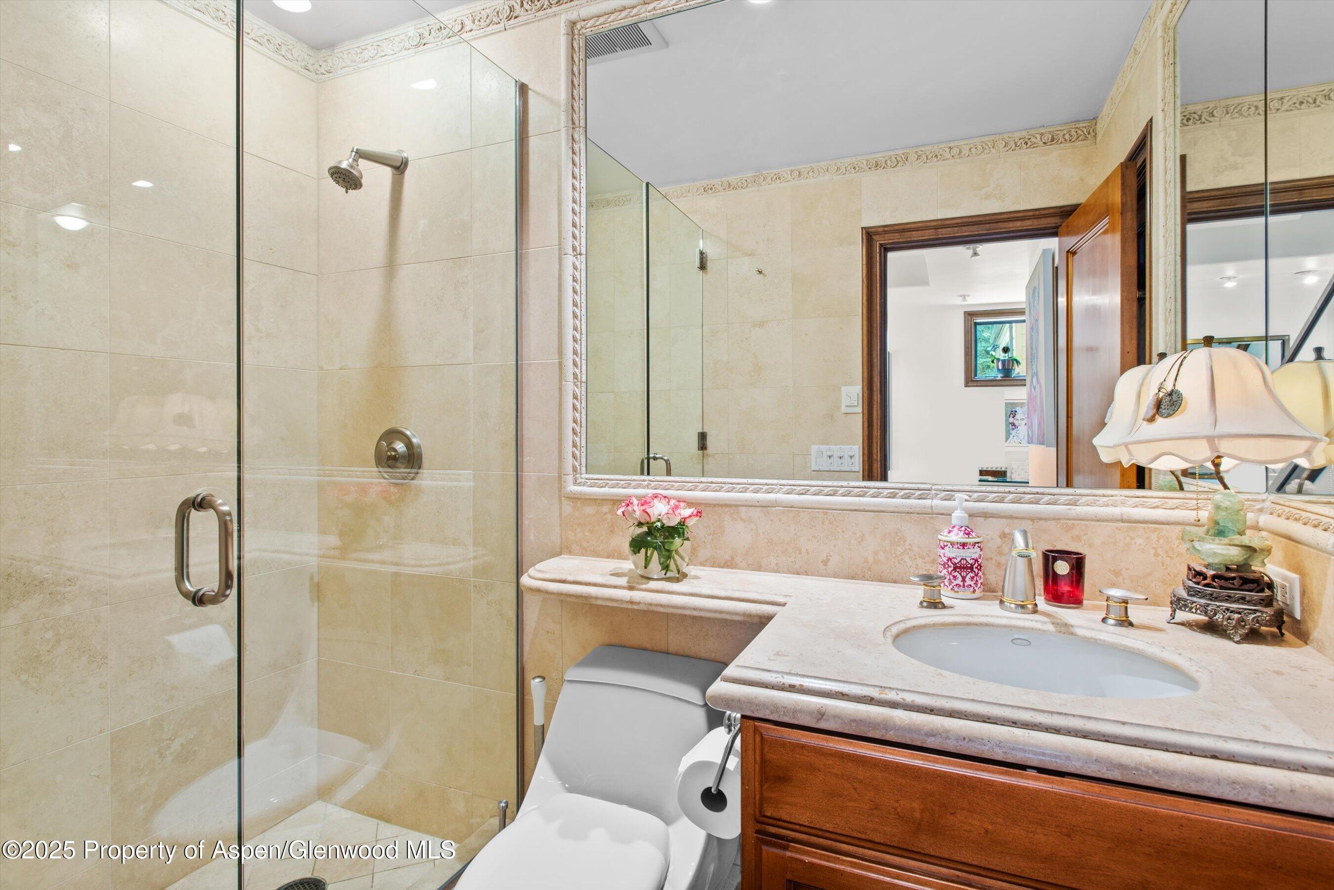 155 Lone Pine Road, Unit 9 Aspen, CO 81611 - Photo 19 of 27 12-155LonePine9_2504090012