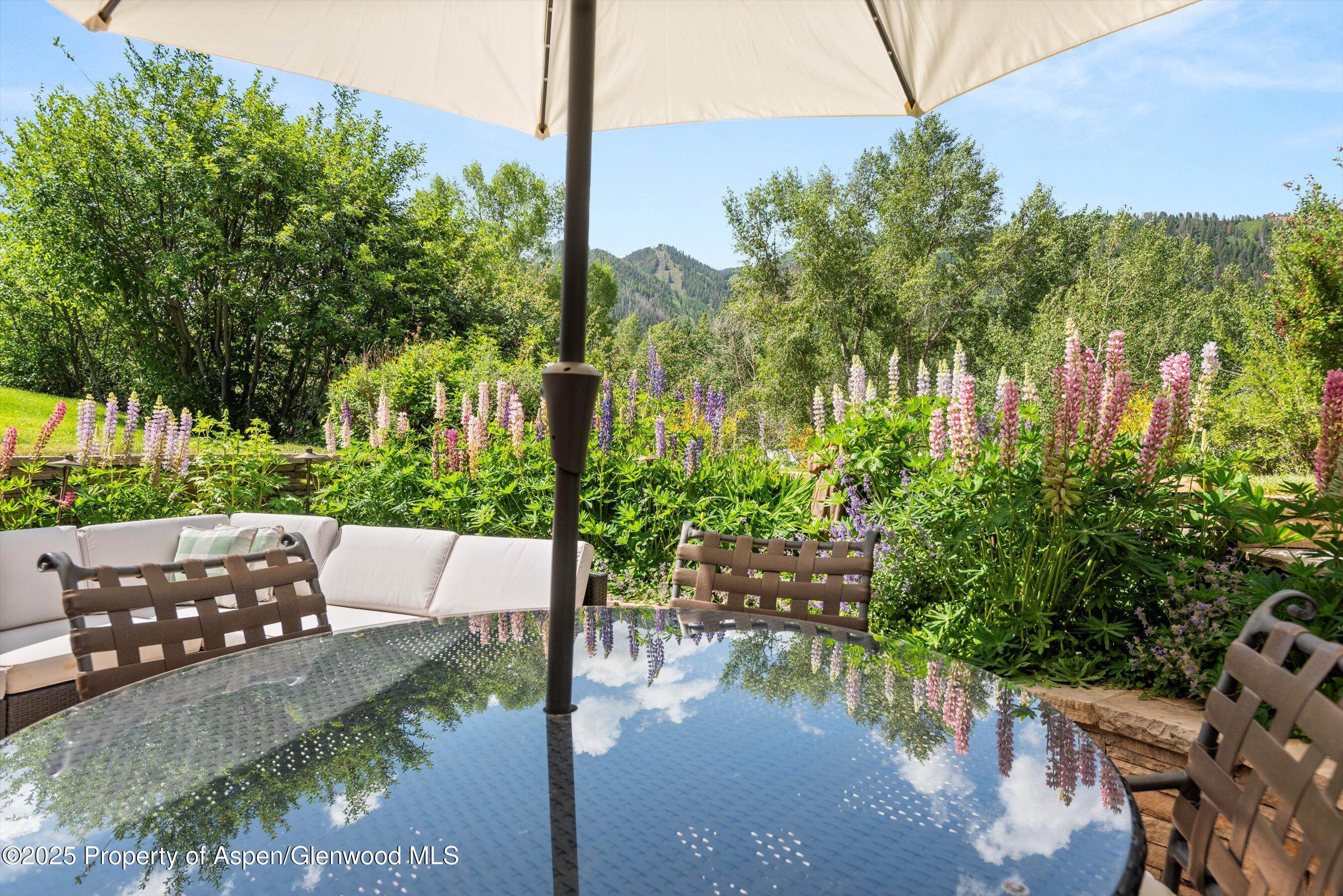 155 Lone Pine Road, Unit 9 Aspen, CO 81611 - Photo 21 of 27 a view of a garden with plants and a bench