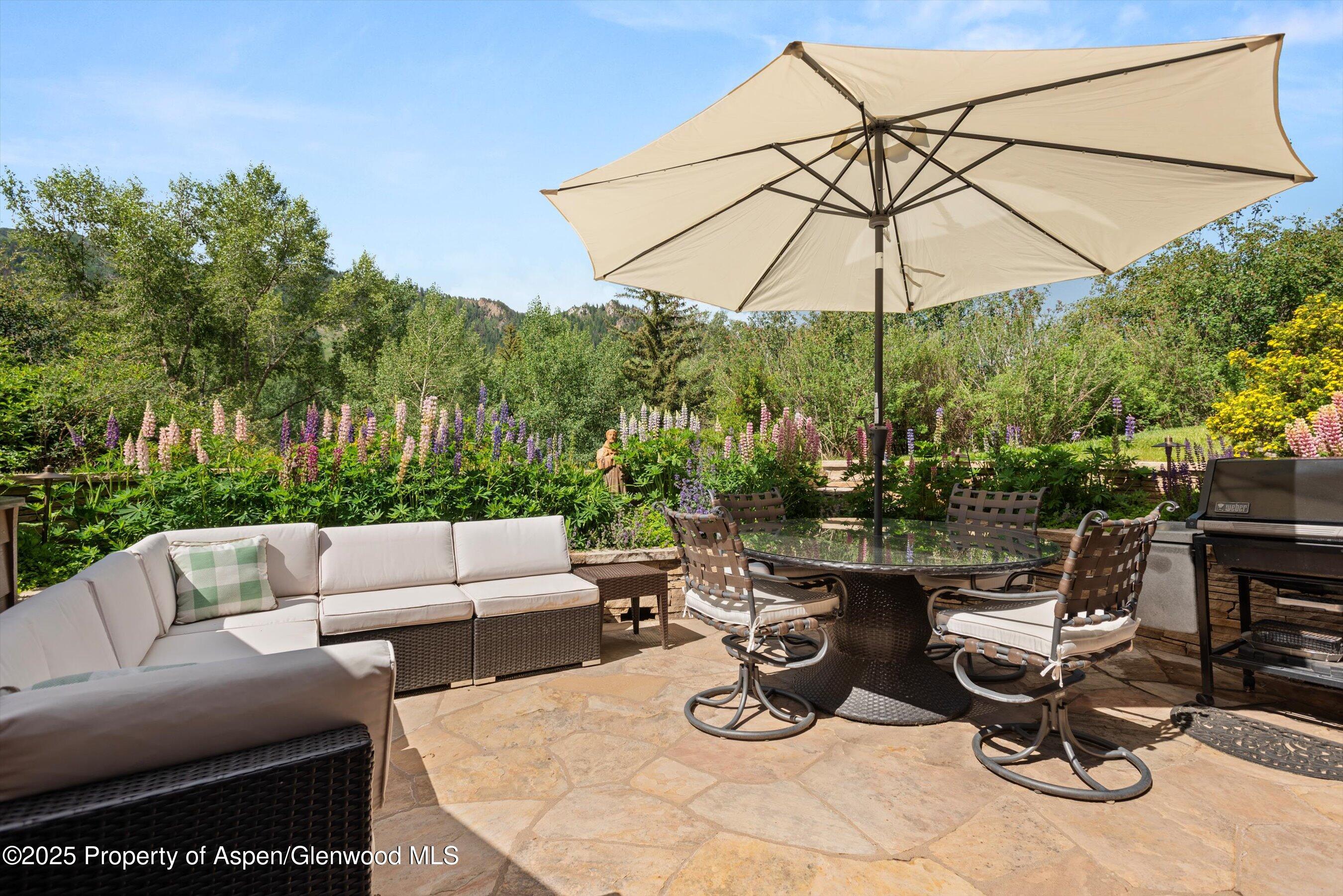 155 Lone Pine Road, Unit 9 Aspen, CO 81611 - Photo 7 of 27 05-155LonePine9C_240620025