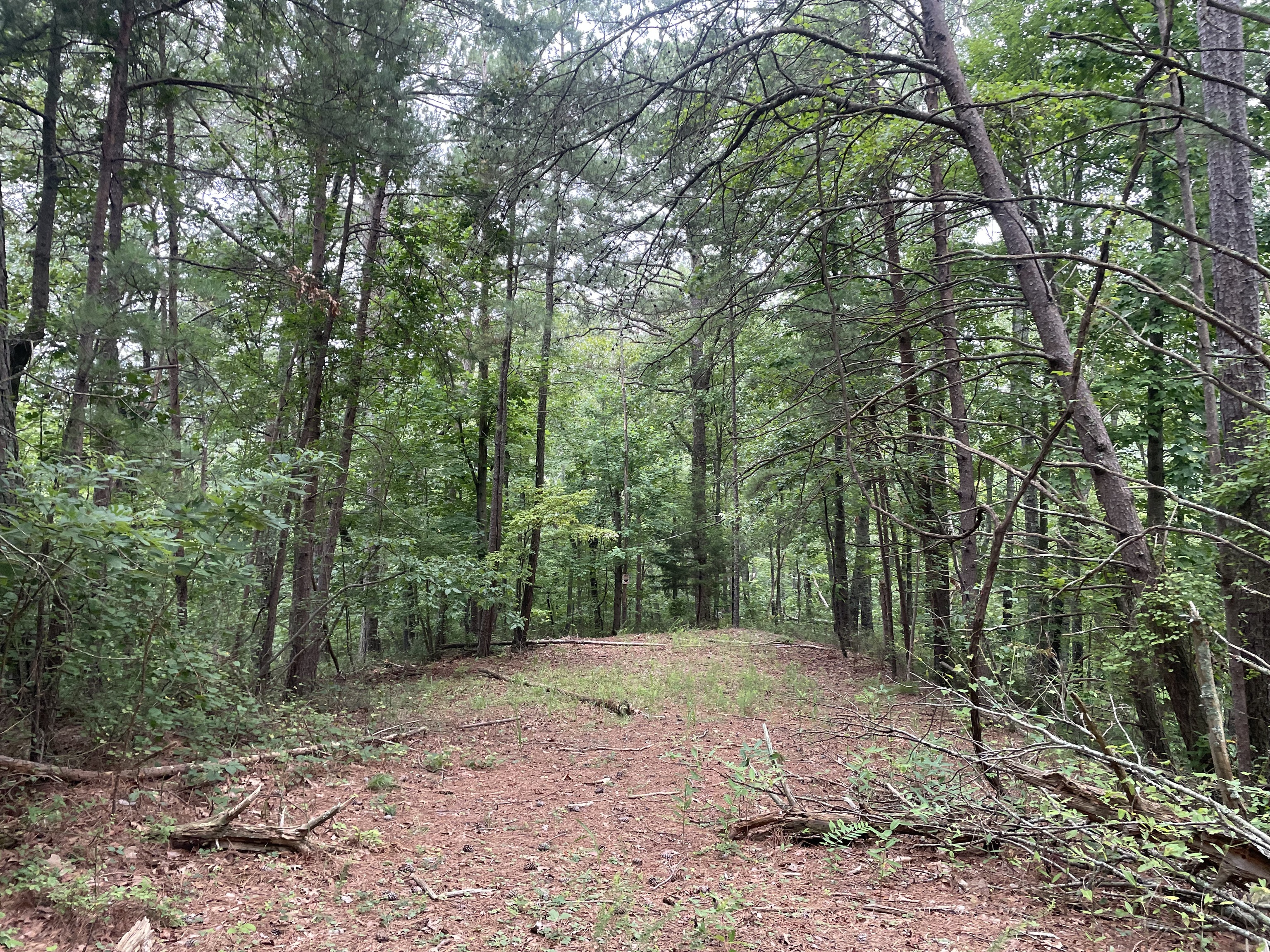 741 Forge Court Ranger, GA 30734 - Photo 3 of 13 a view of backyard with green space