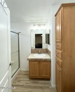 a bathroom with a sink and a mirror
