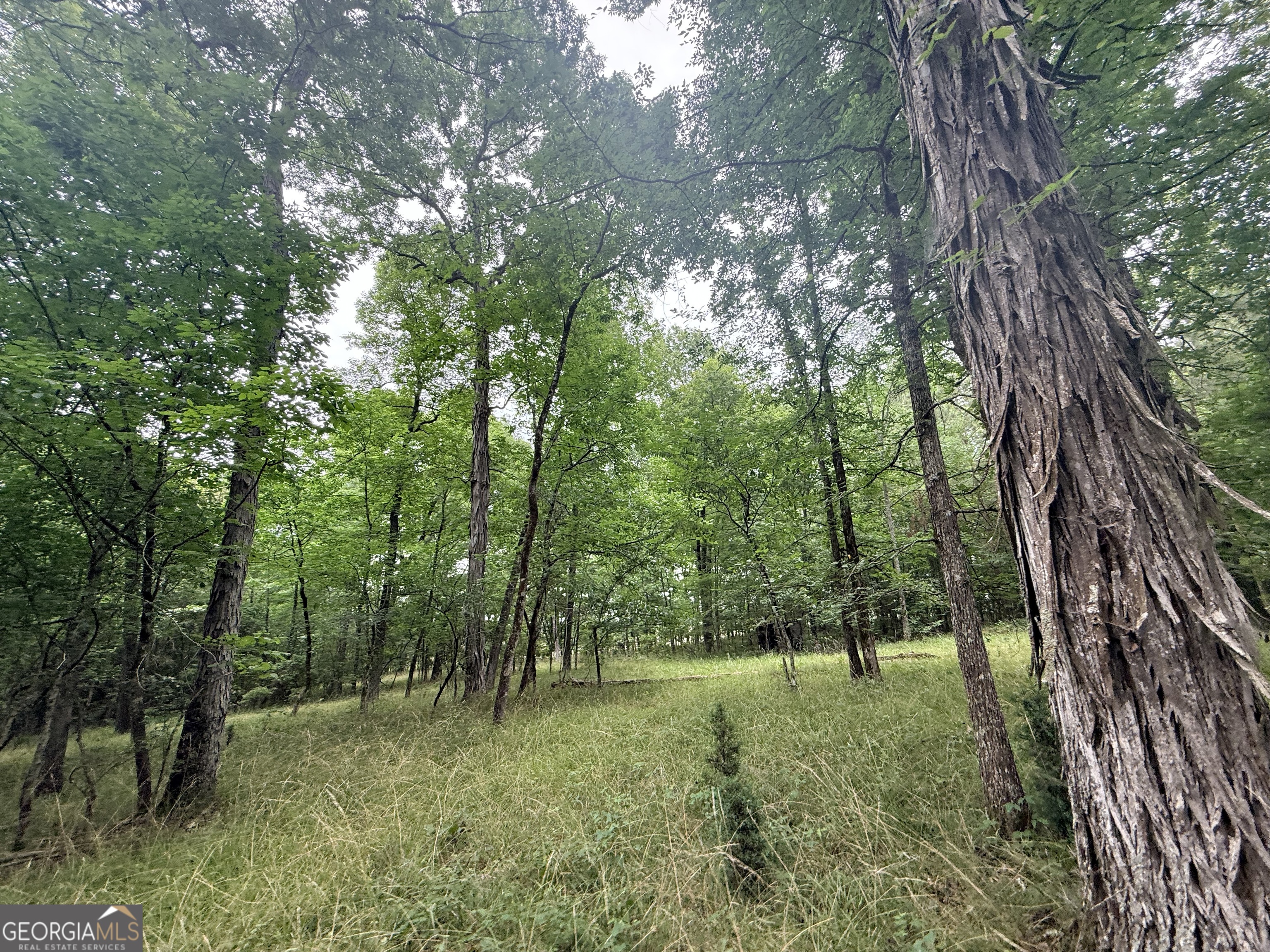 1 Bethesda Church Road Lexington, GA 30648 - Photo 23 of 78