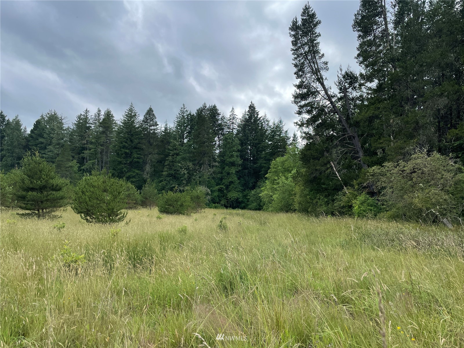 0 Classe Road Toledo, WA 98591 - Photo 1 of 1 a view of a field of grass and trees