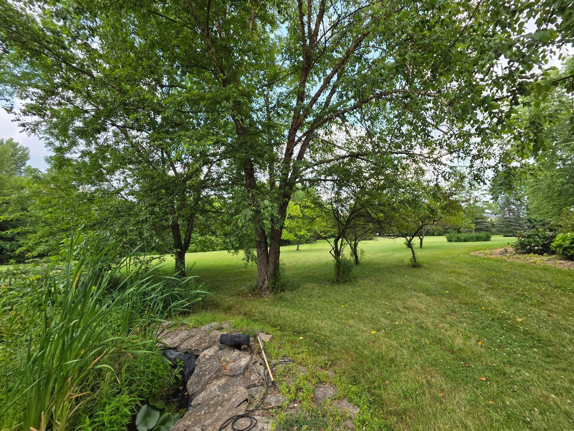 6280 Steitz Road Powell, OH 43065 - Photo 34 of 45 Small Pond
