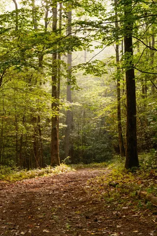 a kitchen with a sink and a window