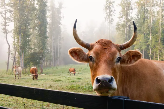 a kitchen with a stove and a sink