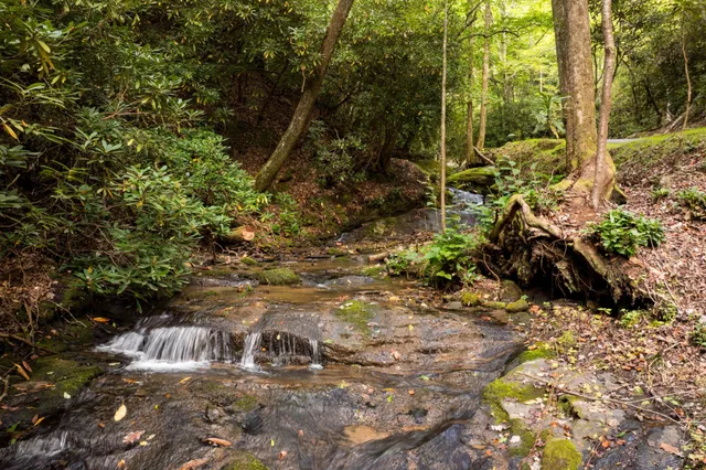a living room with furniture a bookshelf and a window