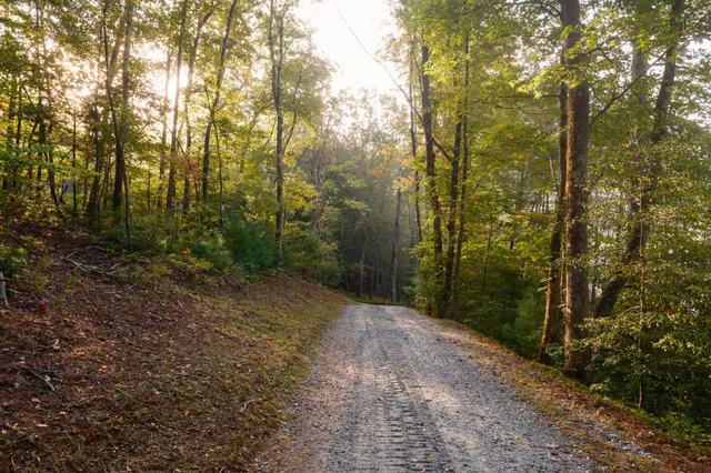 $15,500,000 | 1500 Pk Vista Trail, Dillard, GA 30537