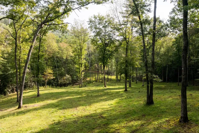$15,500,000 | 1500 Pk Vista Trail, Dillard, GA 30537