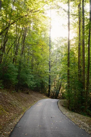 $15,500,000 | 1500 Pk Vista Trail, Dillard, GA 30537