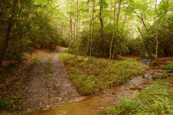 $15,500,000 | 1500 Pk Vista Trail, Dillard, GA 30537