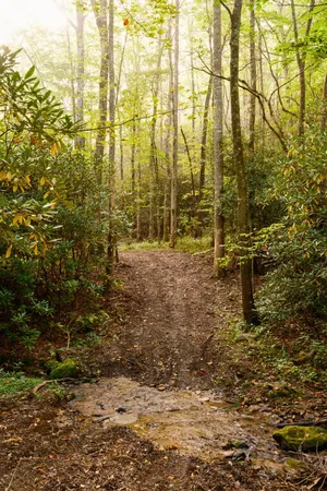 $15,500,000 | 1500 Pk Vista Trail, Dillard, GA 30537