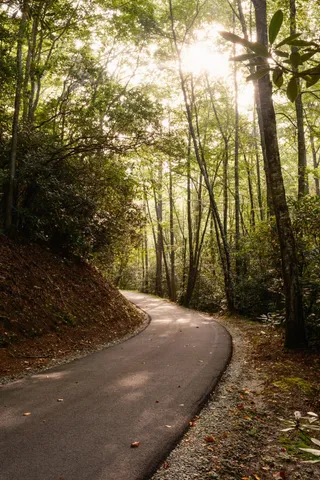 $15,500,000 | 1500 Pk Vista Trail, Dillard, GA 30537