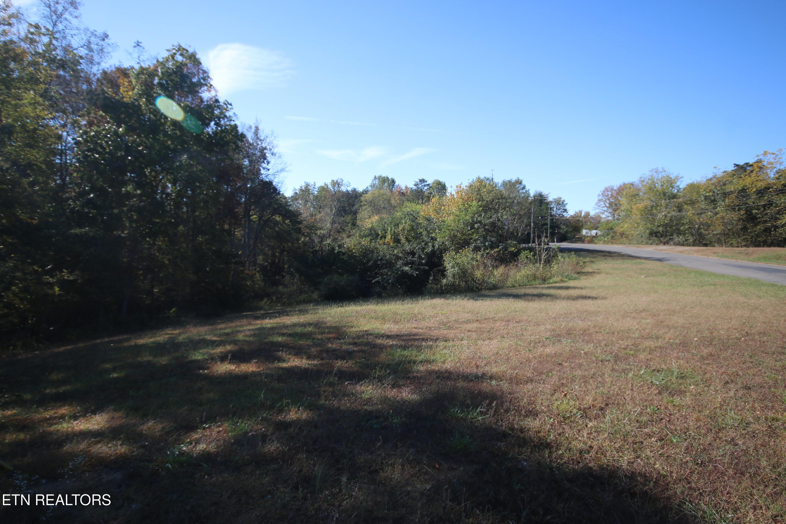 295 Shadden Road Tellico Plains, TN 37385 - Photo 15 of 26 IMG_8101