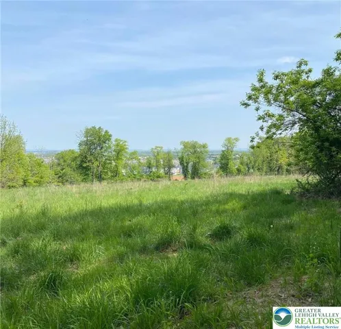 a view of a green field with lots of bushes