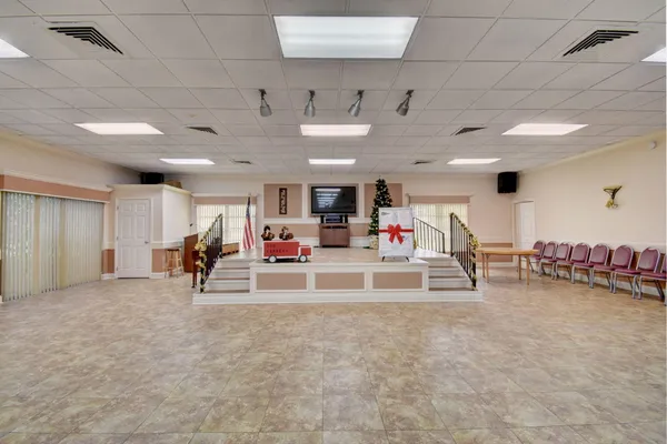 a view of a park with large trees