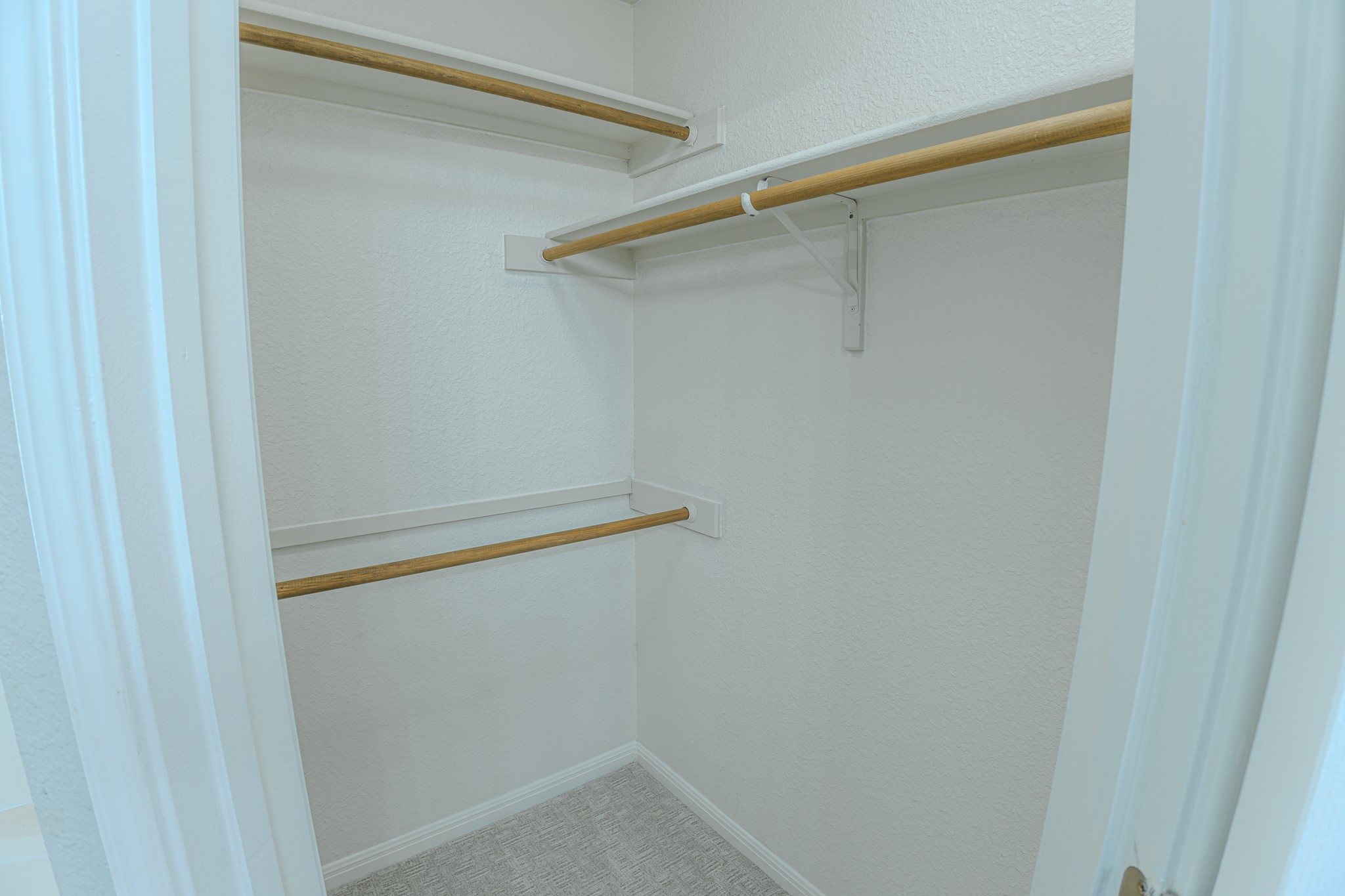 208 Discovery Kyle, TX 78640 - Photo 23 of 31 Walk-in closet with light gray carpeting, neutral wall paint, and multiple wood-finish rods and shelves