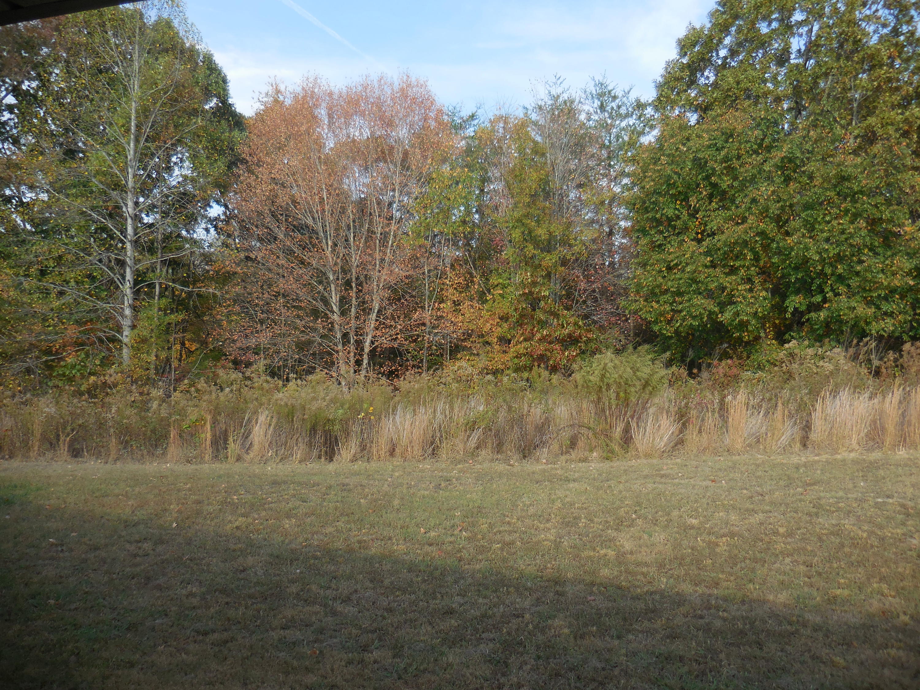 598 Chapman Road Dunlap, TN 37327 - Photo 10 of 12 LIST 3